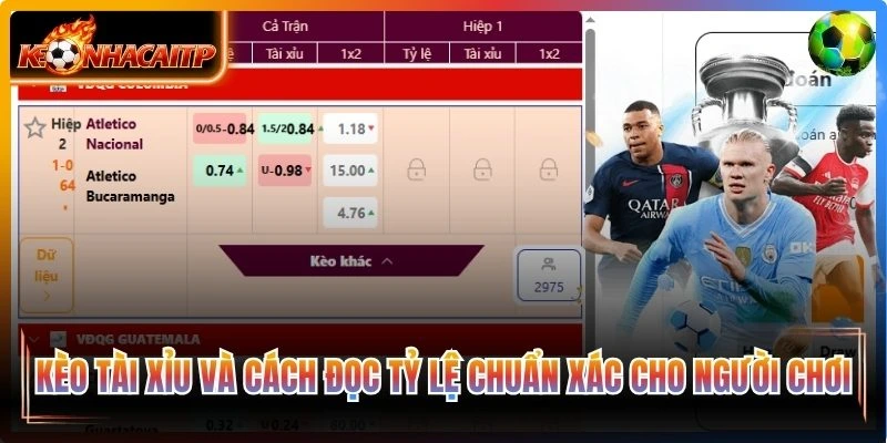 Kèo tài xỉu và cách đọc tỷ lệ chuẩn xác cho người chơi